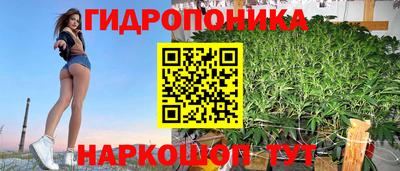 мяу мяу мука Ставрополь