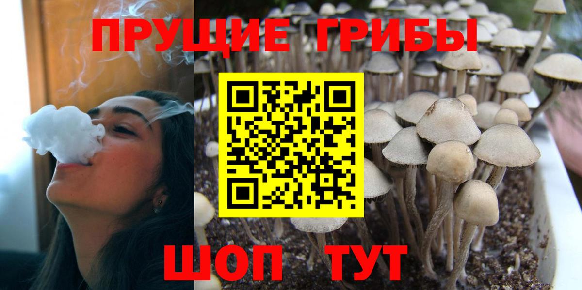 Псилоцибиновые грибы MAGIC MUSHROOMS  Вход с VPN  Назарово 
