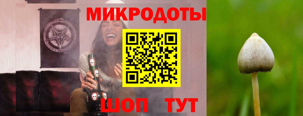 Галлюциногенные грибы Psilocybe Назарово